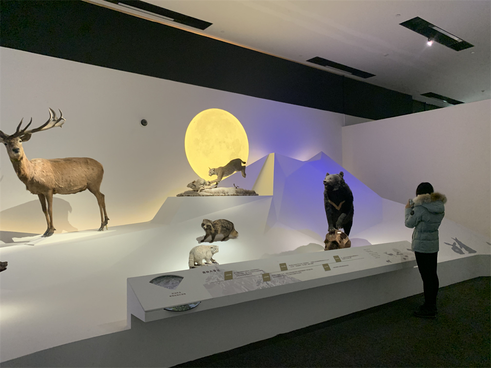 观众正在参观展览。人民网记者 韦衍行摄