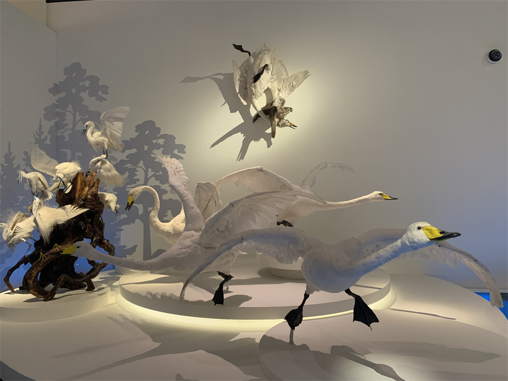 展览现场。人民网记者 韦衍行摄