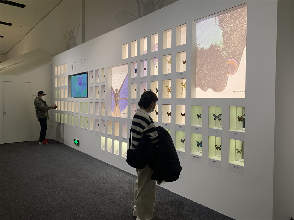 观众正在参观展览。人民网记者 韦衍行摄