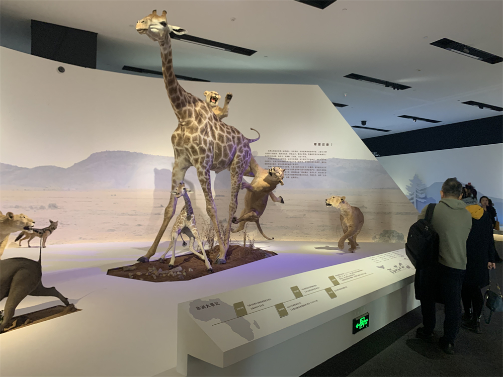 观众正在参观展览。人民网记者 韦衍行摄