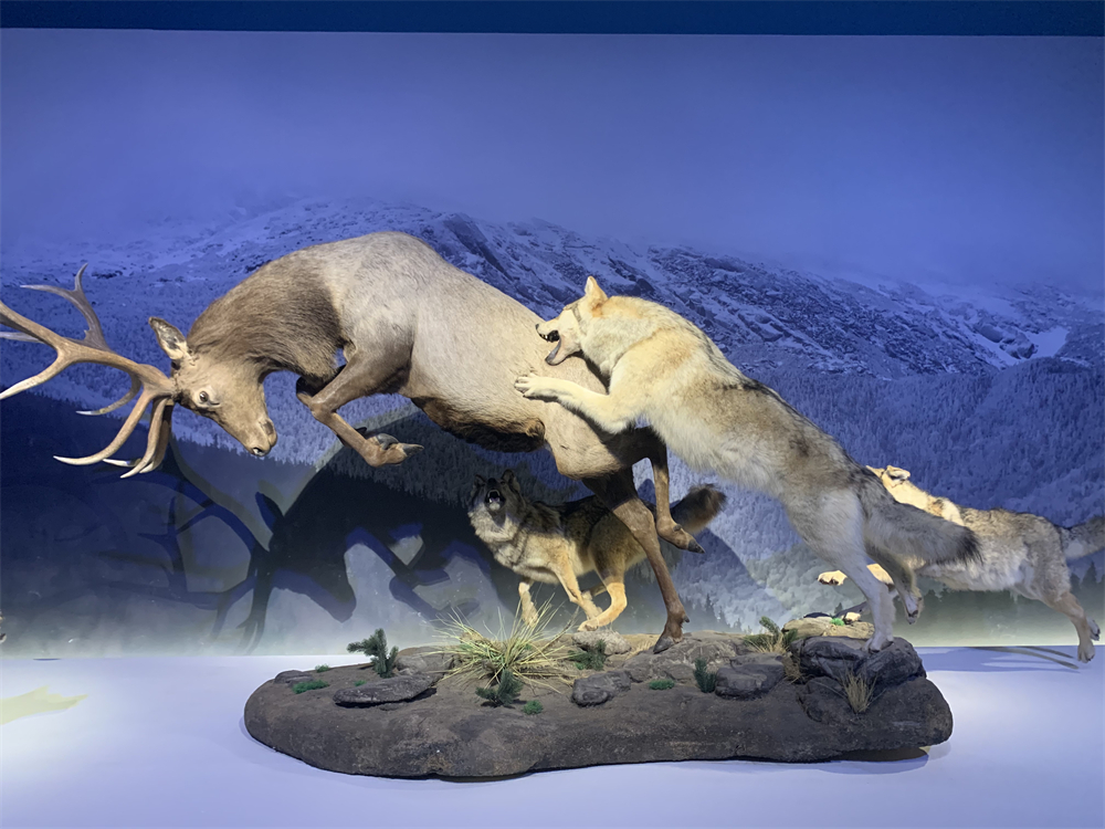 展览现场。人民网记者 韦衍行摄