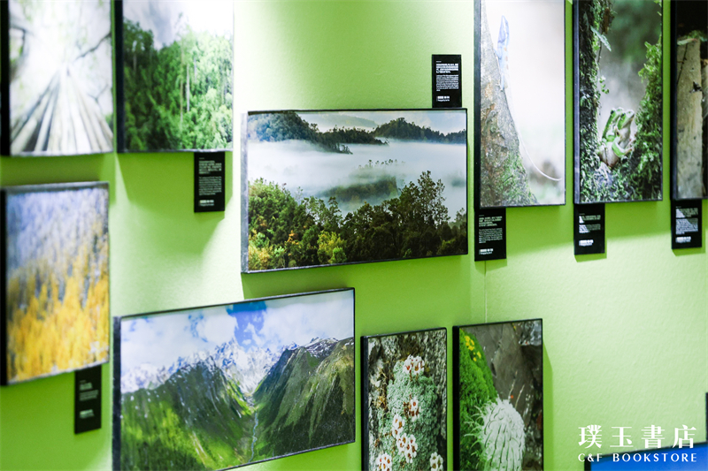 չ���ֳ������췽��ͼ