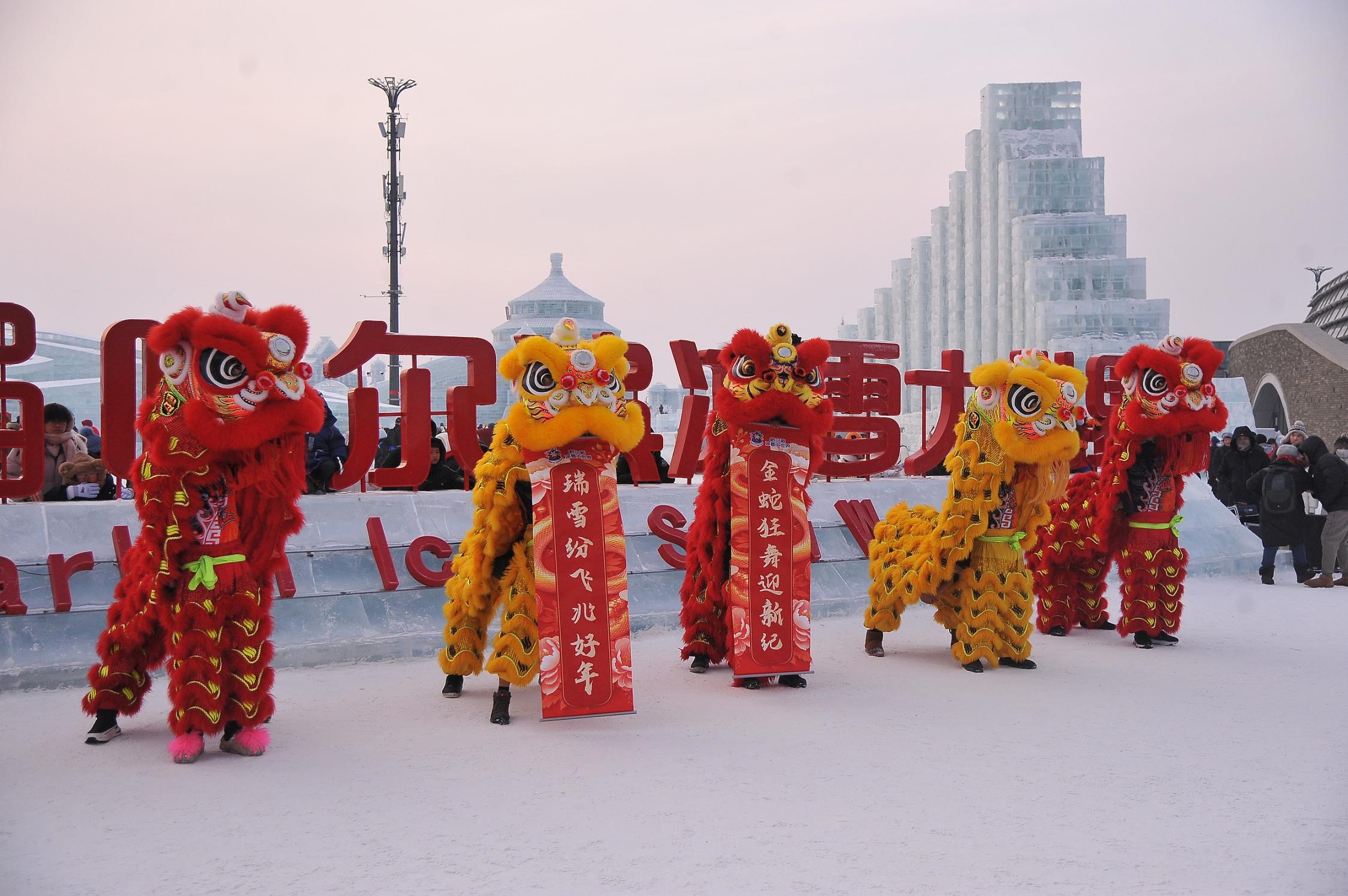 日前，哈尔滨冰雪大世界上演精彩的舞狮表演。（图片来源：视觉中国）