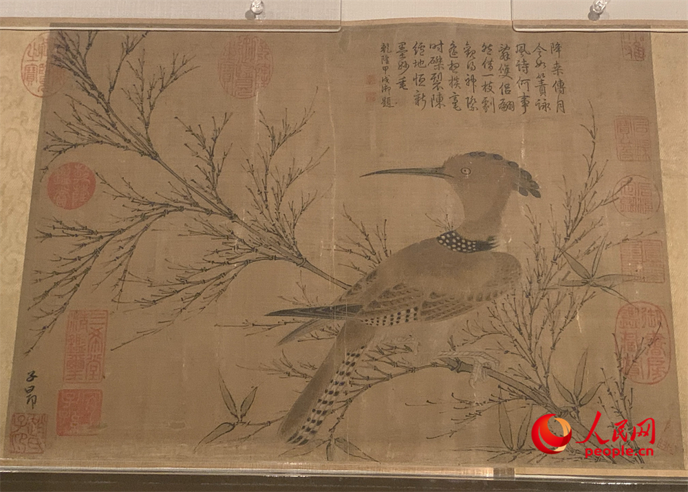 幽篁戴胜图卷（元 赵孟頫）。人民网记者 韦衍行摄