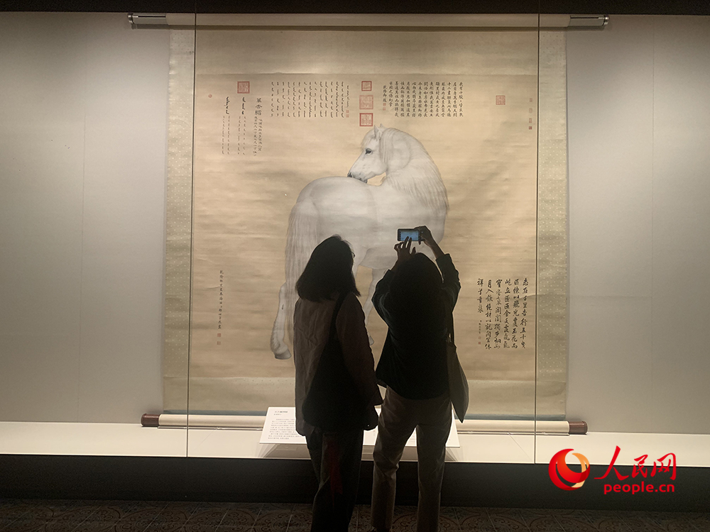 观众正在参观展览。人民网记者 韦衍行摄