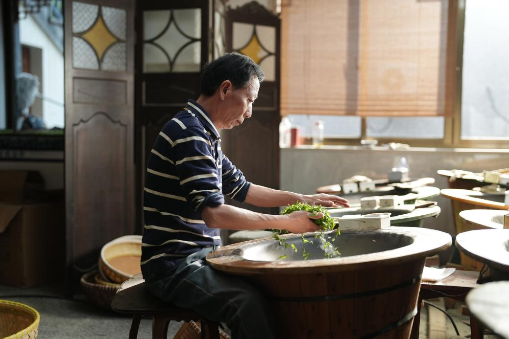 绿茶制作技艺（西湖龙井）国家级代表性传承人樊生华正在炒茶。周璨晨摄