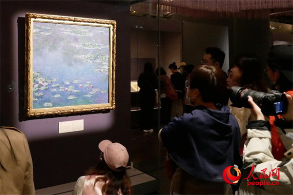 5月11日，观众在参观“乐林泉——中外园林文化展”。人民网记者 韦衍行摄