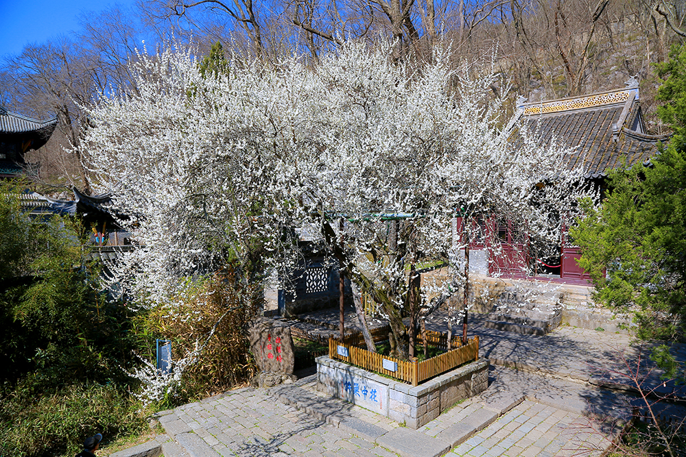 安徽省琅琊山摩崖石刻及碑刻·欧梅。国家文物局供图