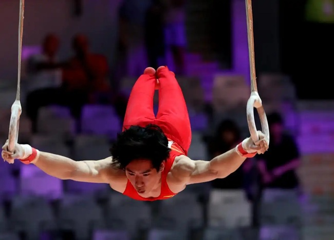 张博恒在男子个人全能决赛吊环项目比赛中。新华社记者 岑云鹏摄