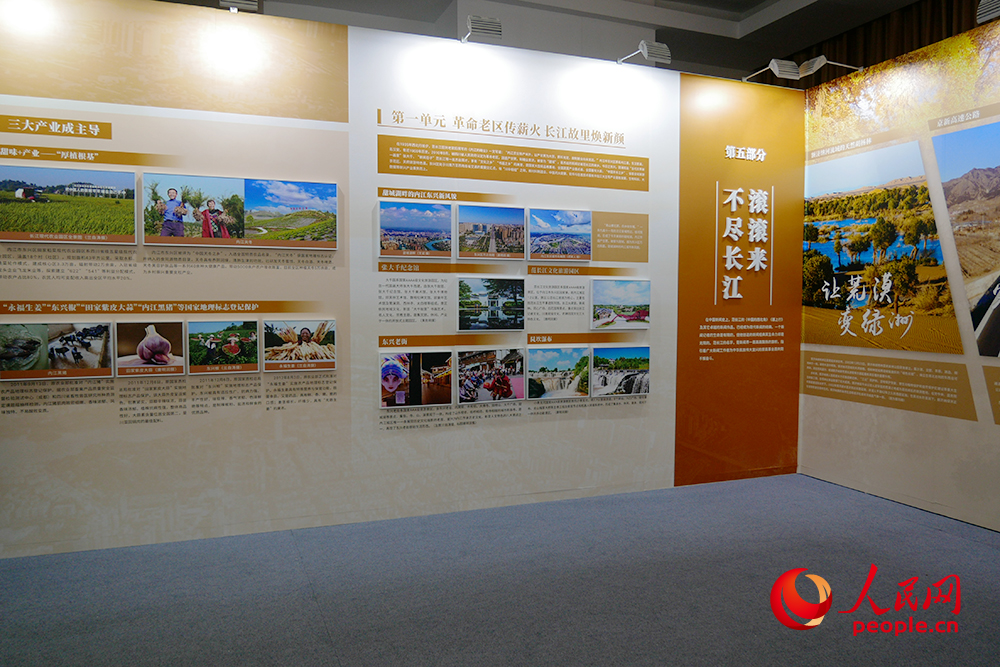 展览现场。人民网记者 韦衍行摄