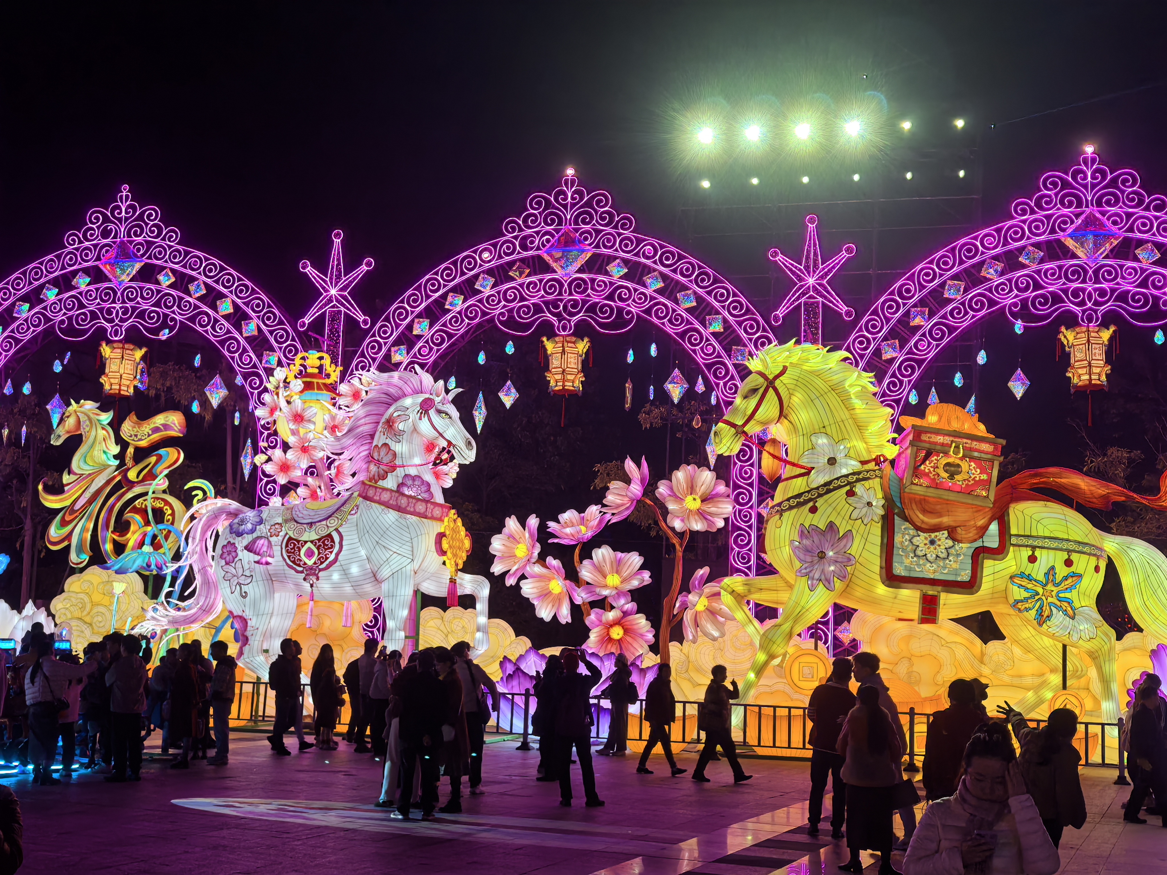 厦门园博苑灯会在春节假期期间亮灯，吸引大批市民游客纷至沓来。人民网记者 陈博摄