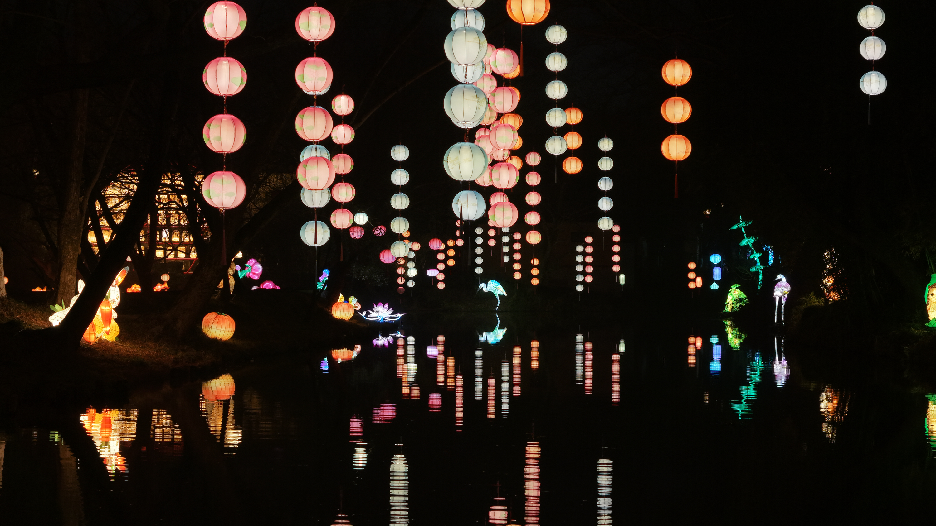 西溪湿地灯会北冥有鱼灯组。受访者供图