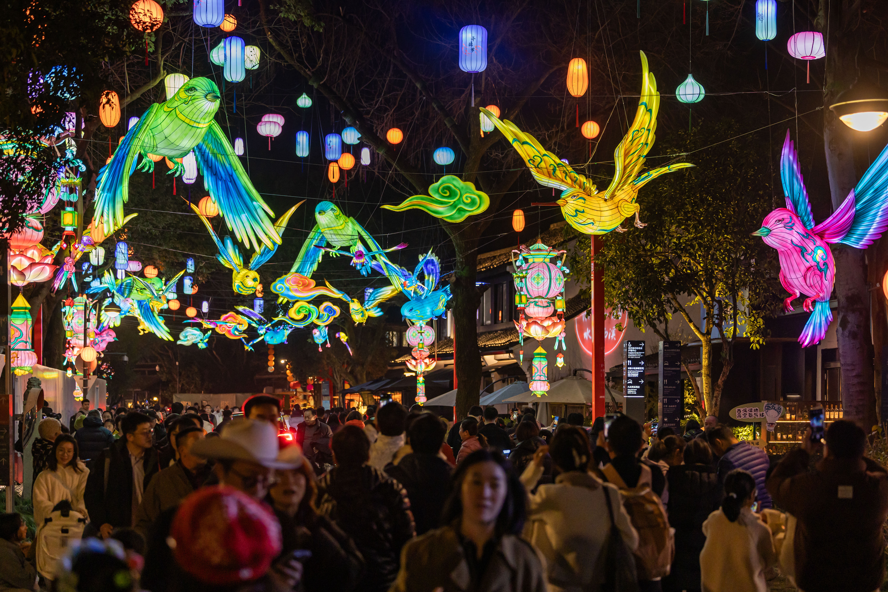 西溪湿地灯会游人如织。受访者供图