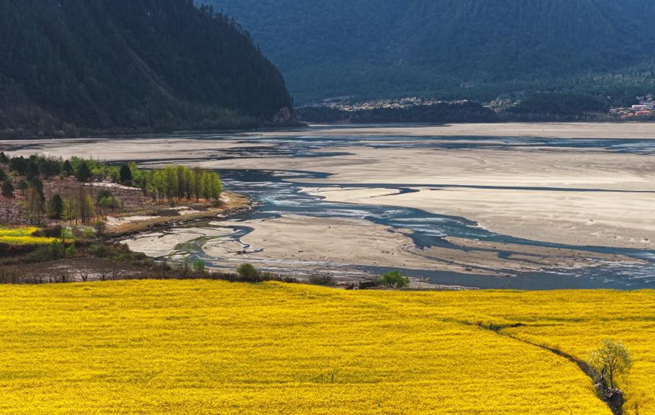 西藏波密：花开易贡春正浓