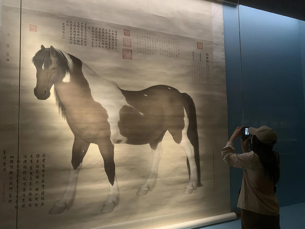 观众正在参观展览。人民网记者 韦衍行摄