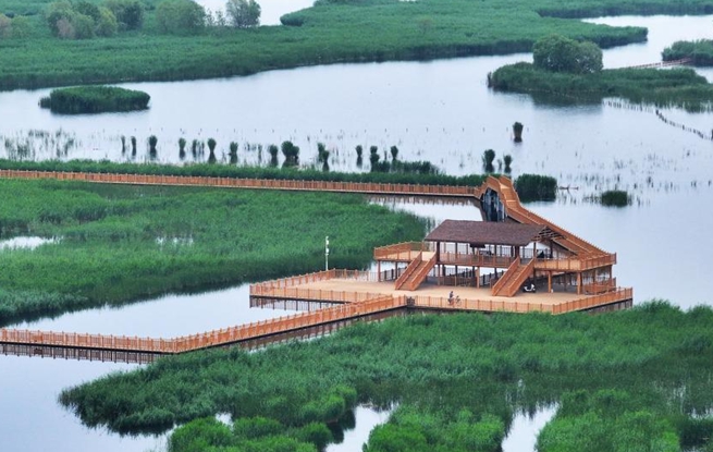 美丽中国丨白洋淀初夏风光
