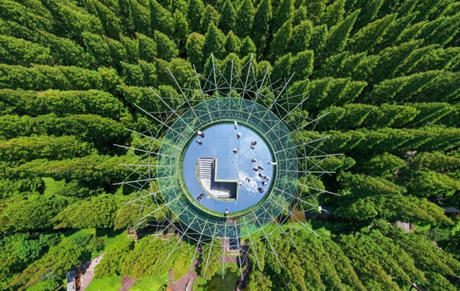 江苏东台：畅享绿意风光