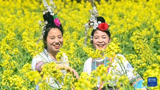 3月1日，在广西三江侗族自治县梅林乡，侗族群众在花海中游玩。