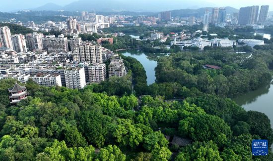 福州西湖-左海湿地公园沿岸城市风光（8月1日摄，无人机照片 ）。