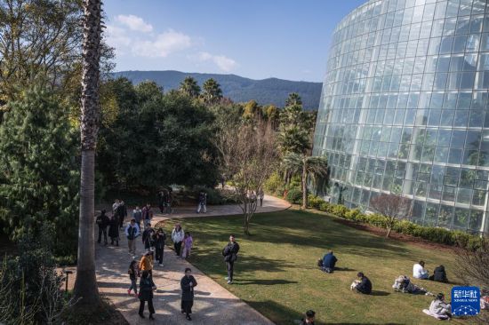 1月10日，市民在昆明植物园内观光休闲。