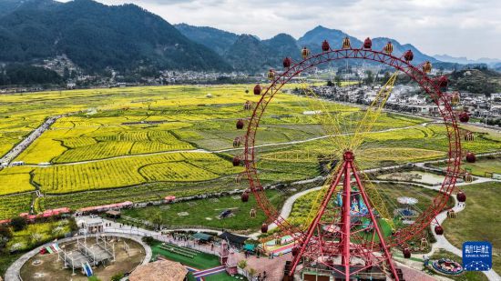 这是3月13日拍摄的贵州省贵定县盘江镇“金海雪山”景区一隅（无人机照片）。