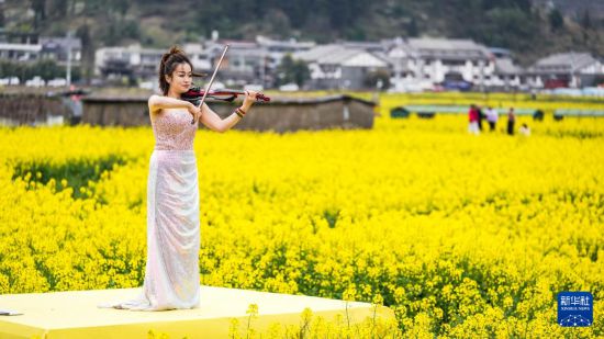 3月13日，演员在贵州省贵定县盘江镇“金海雪山”景区内演奏小提琴。