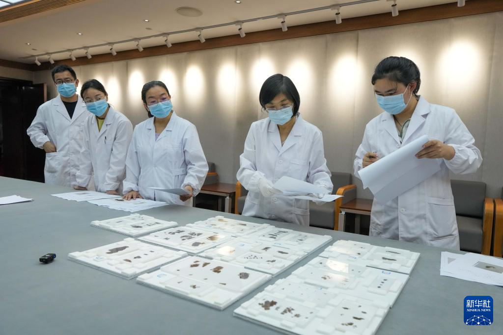 9月11日，专家在湖南省博物馆核验长沙子弹库战国帛书。新华社记者 薛宇舸 摄